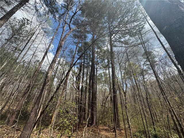 161 Chauga Shoals Dr, Westminster, SC 29693 - photo 29