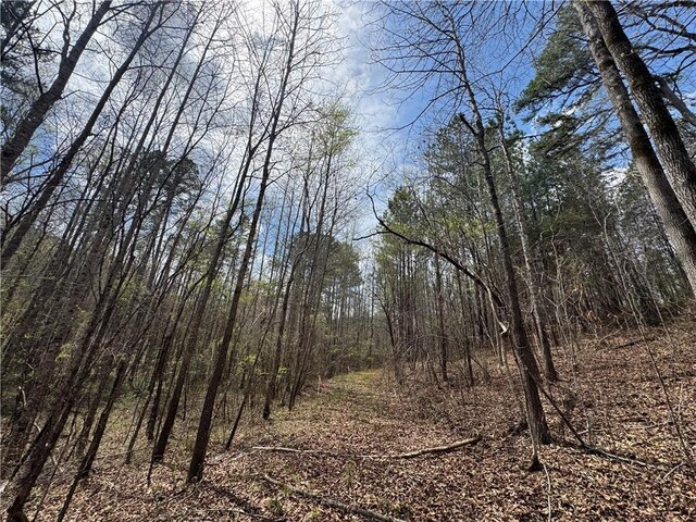 161 Chauga Shoals Dr, Westminster, SC 29693 - photo 33