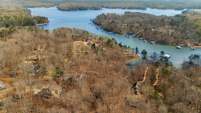 drone / aerial view with a water view and a wooded view