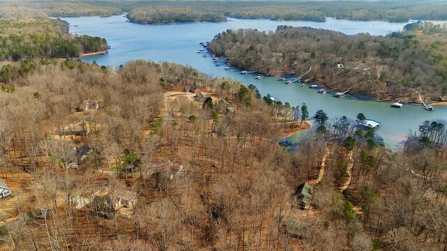 390 Lake Place Dr, Lavonia, GA 30553 - aerial view of property and surrounding area featuring a nearby body of water and a forest