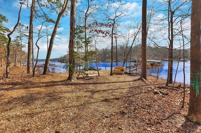 390 Lake Place Dr, Lavonia, GA 30553 - water view