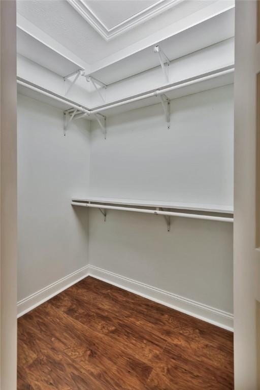 walk in closet with dark wood-style floors