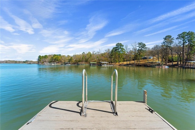 dock area featuring a water view