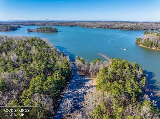bird's eye view featuring a water and mountain view and a wooded view