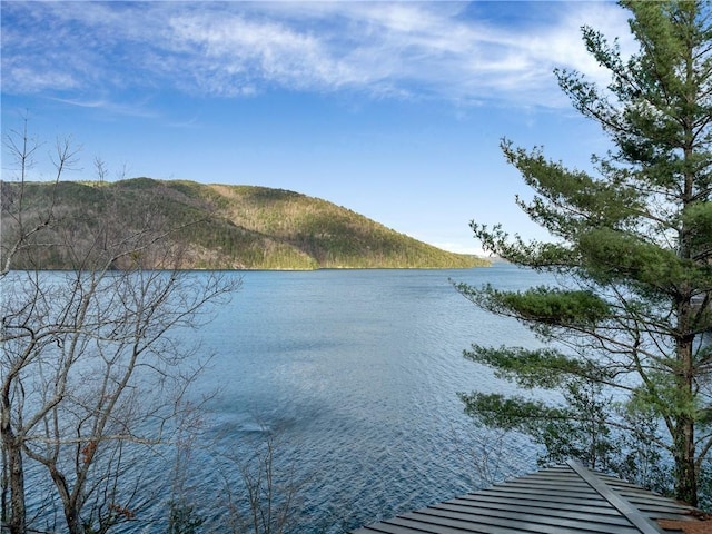 view of water feature