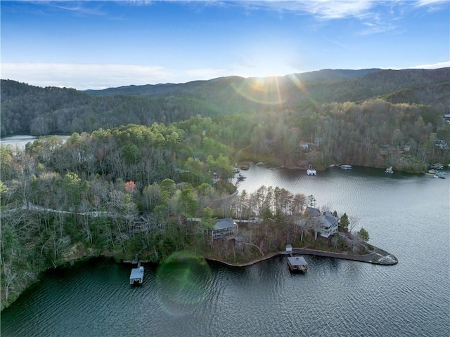 191-C Fisher Knob, Salem, SC 29676 - photo 5