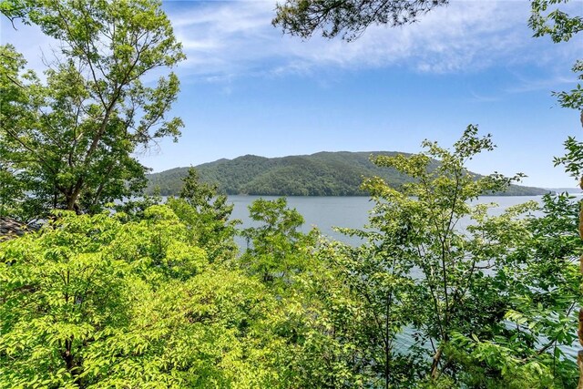 191-C Fisher Knob, Salem, SC 29676 - photo 30