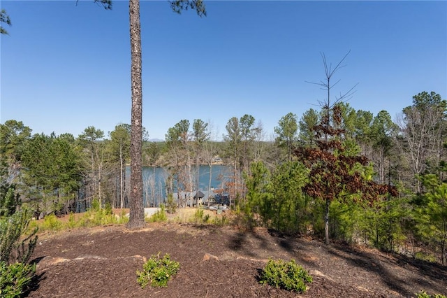 304 Pileated Woodpecker Ln, Sunset, SC 29685 - photo 28