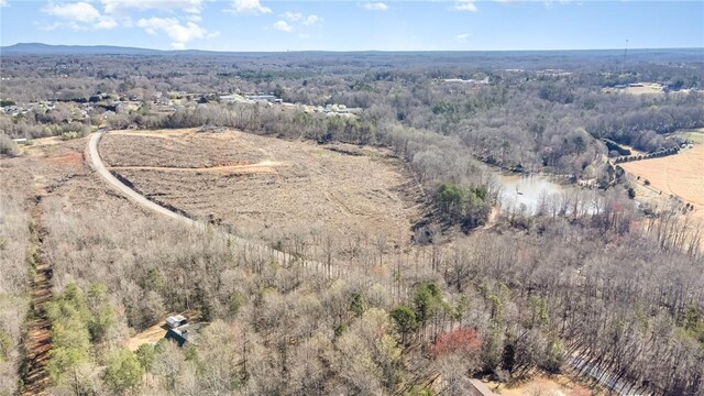 157 Zion School Rd, Easley, SC 29642 - photo 3