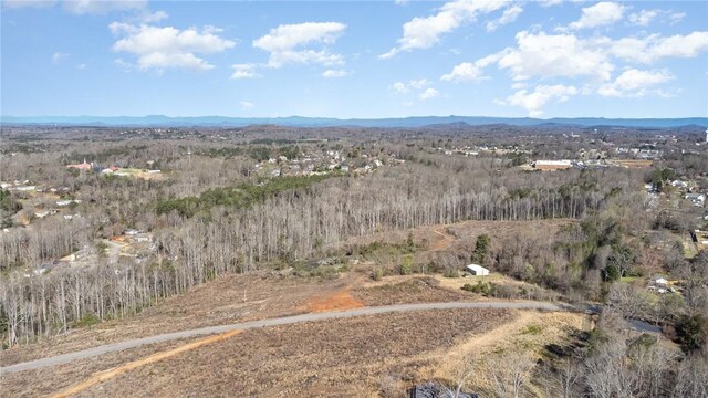 157 Zion School Rd, Easley, SC 29642 - photo 6