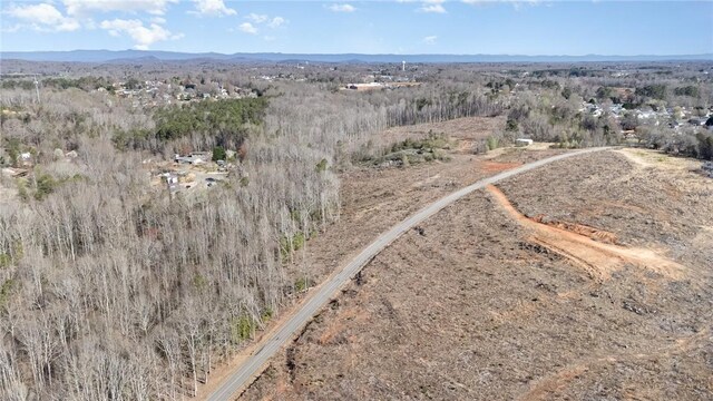 157 Zion School Rd, Easley, SC 29642 - photo 7