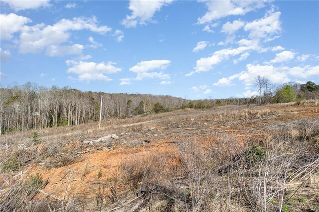 157 Zion School Rd, Easley, SC 29642 - photo 8