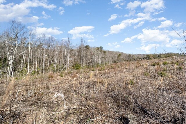 157 Zion School Rd, Easley, SC 29642 - photo 9