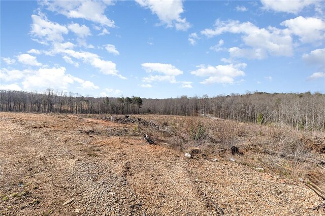 157 Zion School Rd, Easley, SC 29642 - photo 11