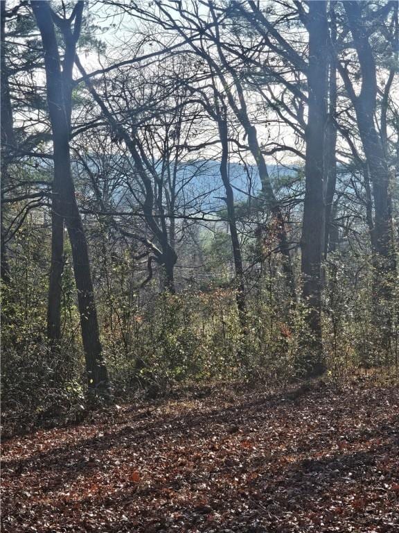 184 Majestic Ridge Rd, Mills River, NC 28759