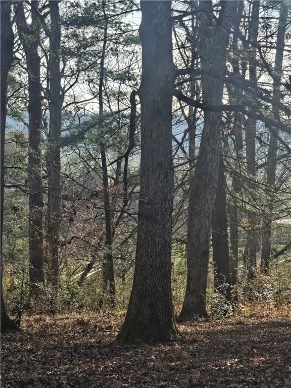 184 Majestic Ridge Rd, Mills River, NC 28759