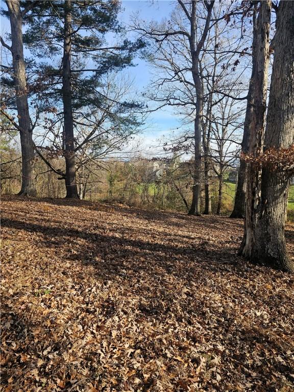 184 Majestic Ridge Rd, Mills River, NC 28759