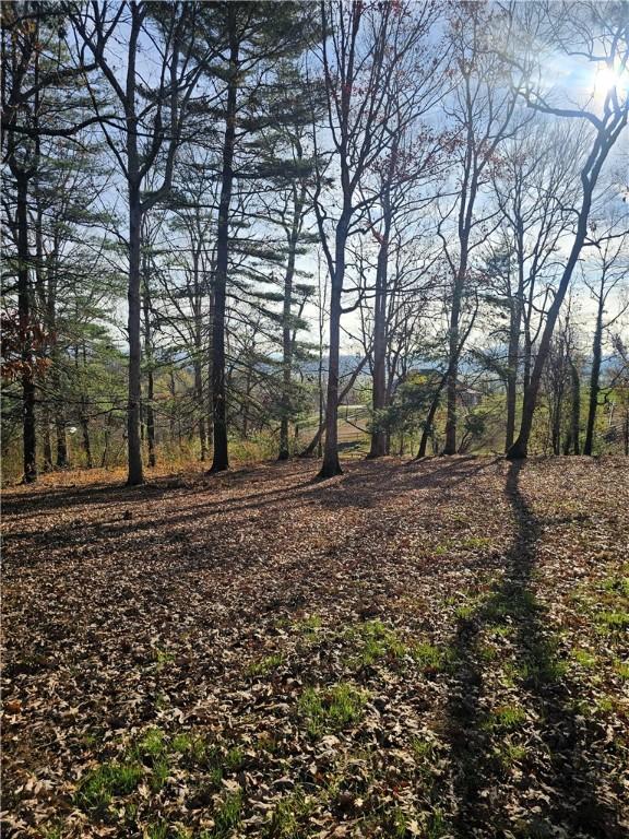 184 Majestic Ridge Rd, Mills River, NC 28759