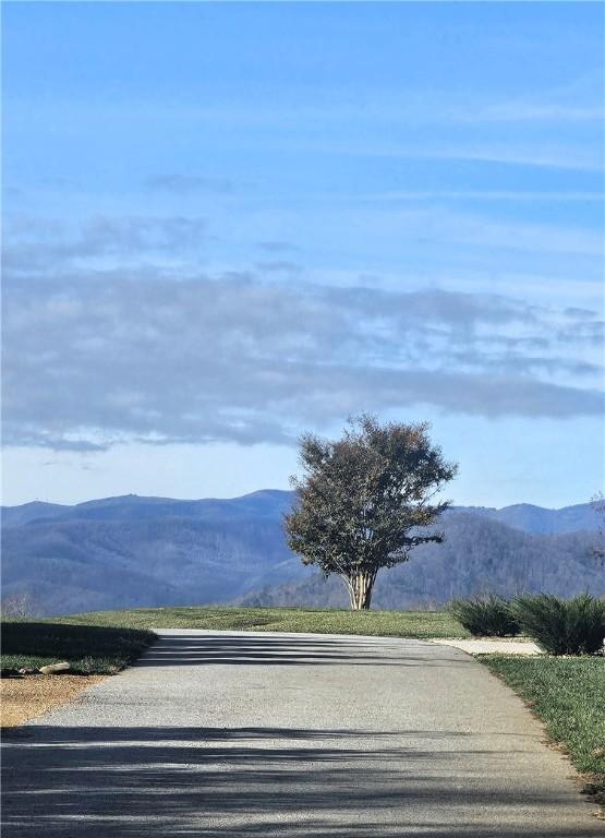 184 Majestic Ridge Rd, Mills River, NC 28759