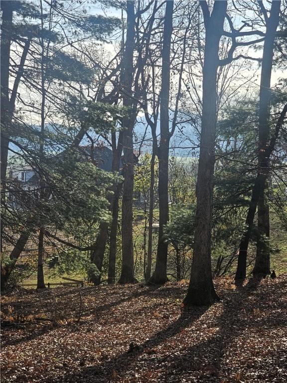 184 Majestic Ridge Rd, Mills River, NC 28759