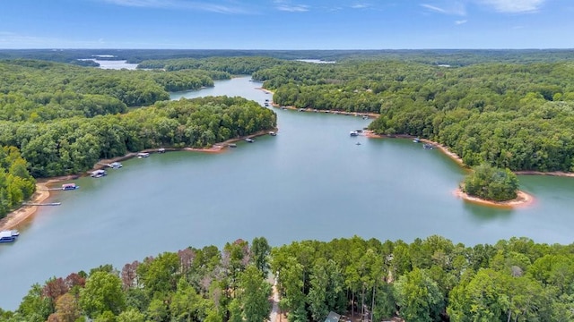 drone / aerial view featuring a water view and a view of trees