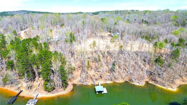 605 Elizabeth Rd, Westminster, SC 29693 - photo 9