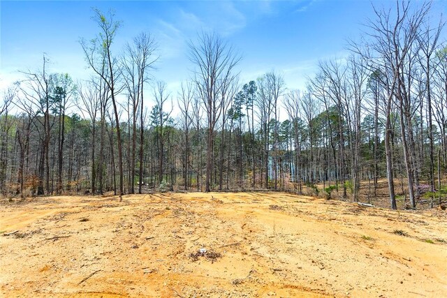 605 Elizabeth Rd, Westminster, SC 29693 - photo 10