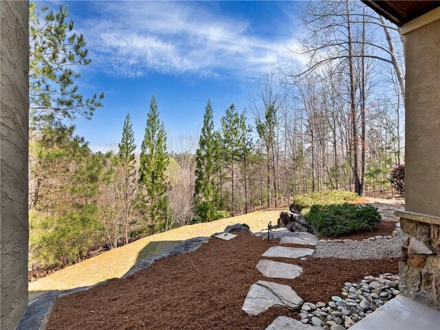 105 Green Cove Way, Six Mile, SC 29682 - view of yard with a forest view