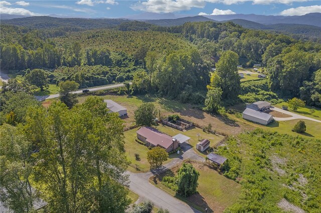 152 N Forest Cir, Marietta, SC 29661