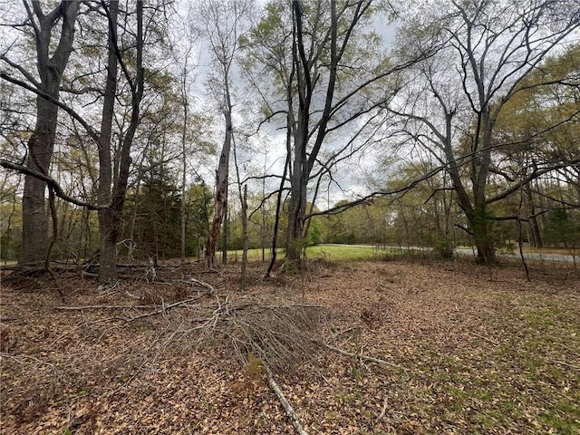 LOTS56 Willow Pl, Anderson, SC 29621 - photo 2