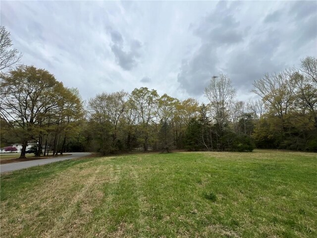 LOTS56 Willow Pl, Anderson, SC 29621 - photo 16
