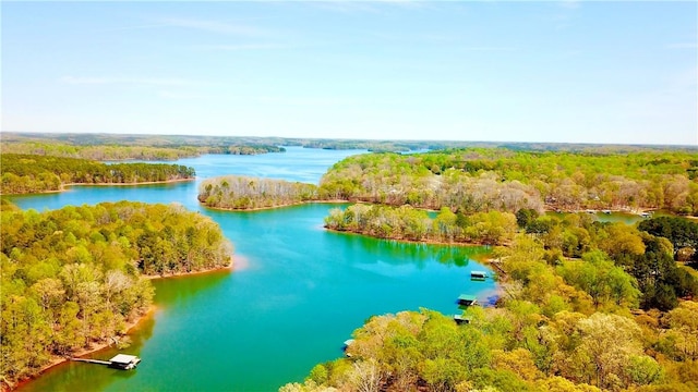 191 Crystal Ln, Townville, SC 29689 - drone / aerial view featuring a wooded view and a water view