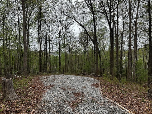 129 Hilltop Cir, Fair Play, SC 29643 - photo 1