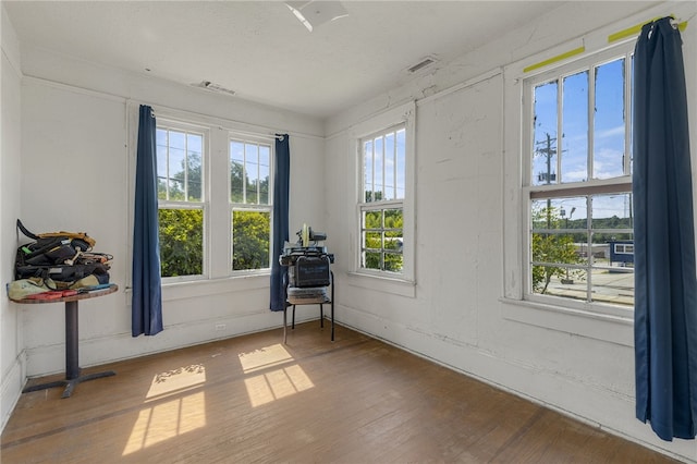 268 Ann St, Pickens, SC 29671 - spare room with wood finished floors and plenty of natural light