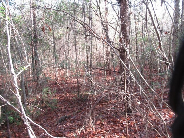 00 Amberway Dr, Easley, SC 29640