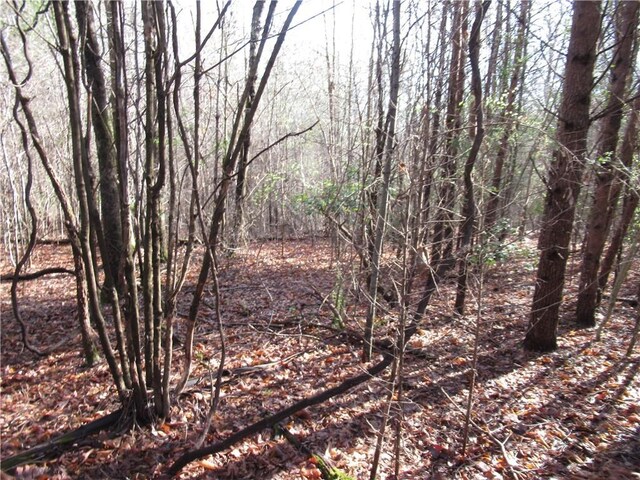 00 Amberway Dr, Easley, SC 29640