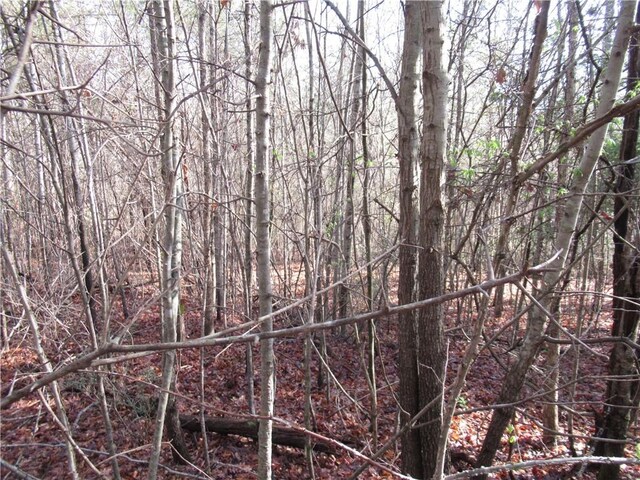 00 Amberway Dr, Easley, SC 29640
