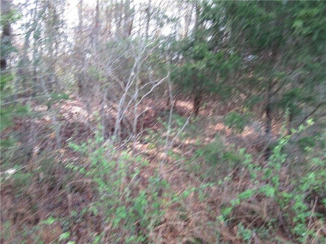 00 Amberway Dr, Easley, SC 29640