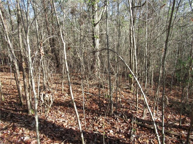 00 Amberway Dr, Easley, SC 29640