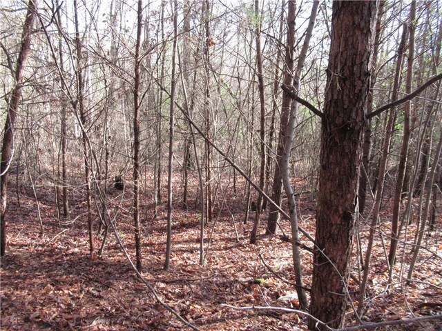 00 Amberway Dr, Easley, SC 29640