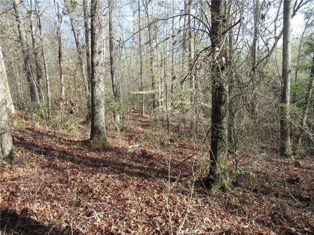 00 Amberway Dr, Easley, SC 29640