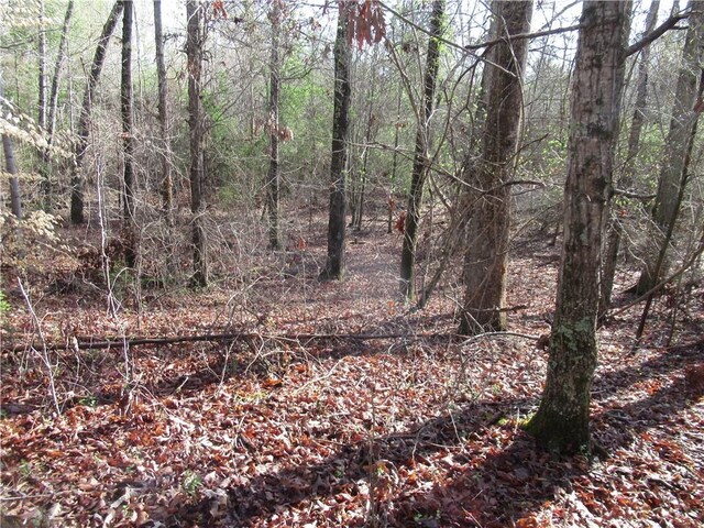 00 Amberway Dr, Easley, SC 29640