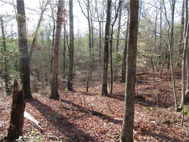 00 Amberway Dr, Easley, SC 29640