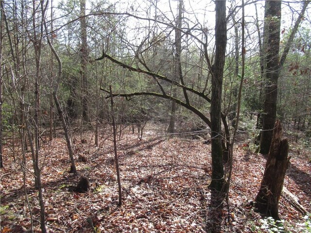 00 Amberway Dr, Easley, SC 29640