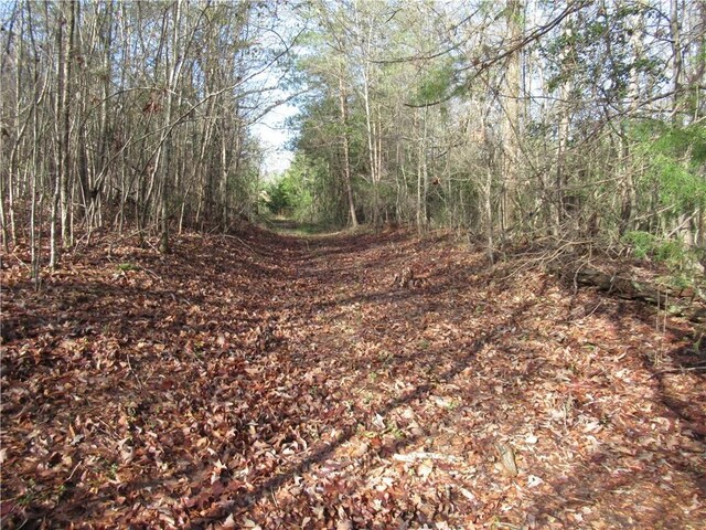 00 Amberway Dr, Easley, SC 29640