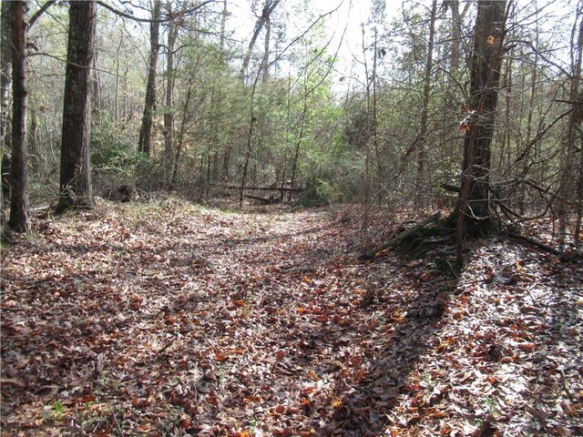 00 Amberway Dr, Easley, SC 29640