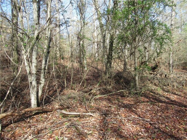 00 Amberway Dr, Easley, SC 29640