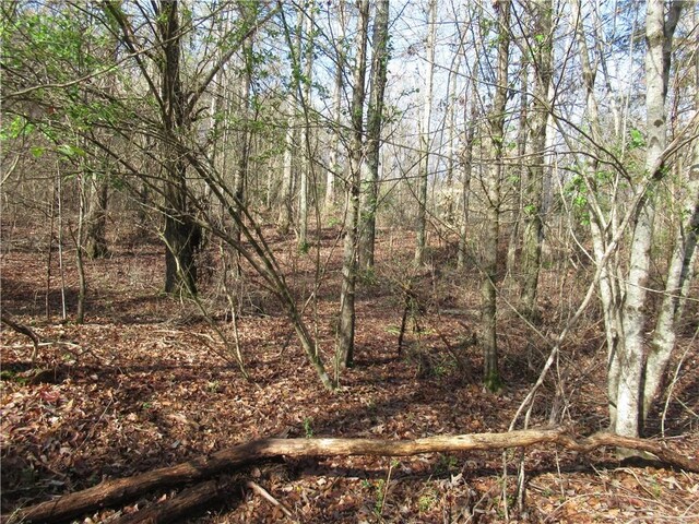 00 Amberway Dr, Easley, SC 29640