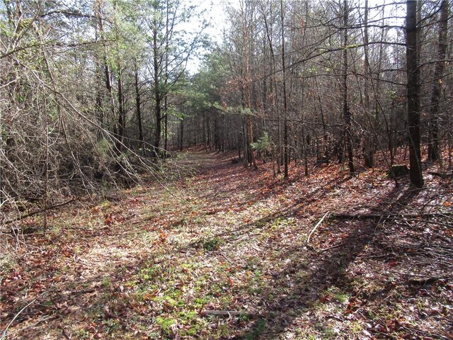 00 Amberway Dr, Easley, SC 29640