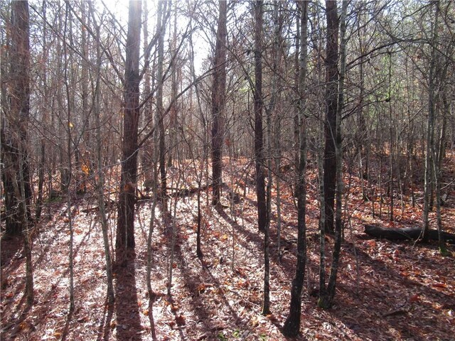 00 Amberway Dr, Easley, SC 29640